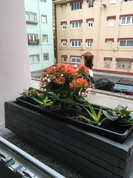 סנטנדר Davila Park'S Apartment Wifi מראה חיצוני תמונה